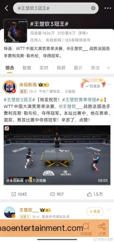 王楚钦转会决策分析，竞技与商业因素如何权衡